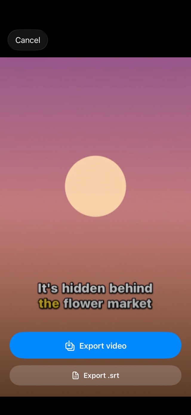 CapiCap's export screen on iPhone: a still of the video with its caption, and two buttons under it, Export video and Export .srt